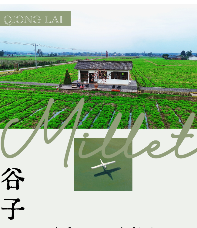 微信截图_20211105183214.png 图片