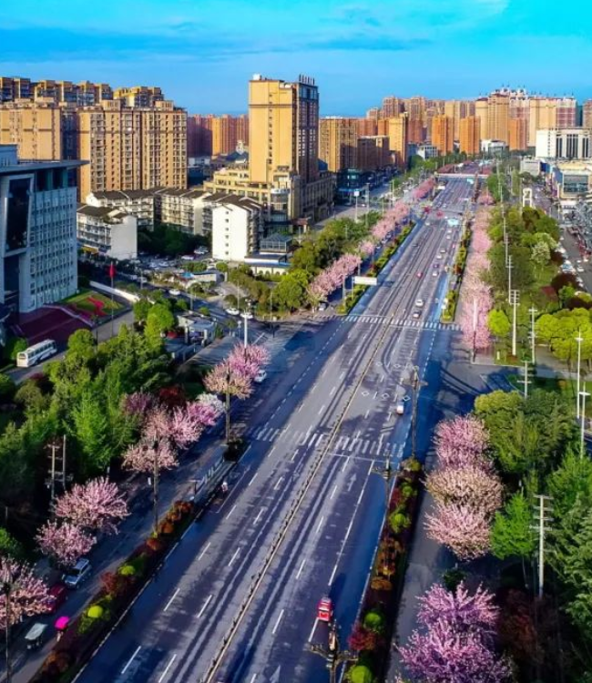 微信截图_20211105183214.png 图片