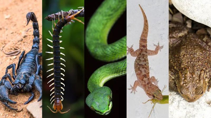 WechatIMG373.jpeg 图片