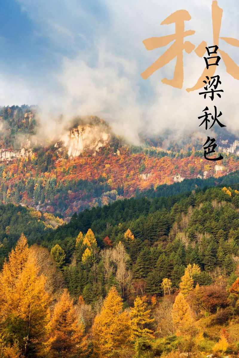 VCG41N905983926 纳米比亚白犀牛的肖像.jpg 图片