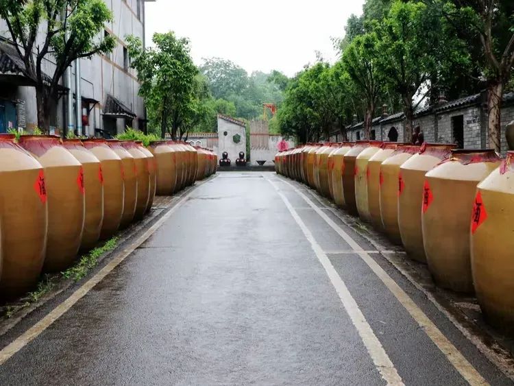 简篇-蜀南竹海酒飘香 图片