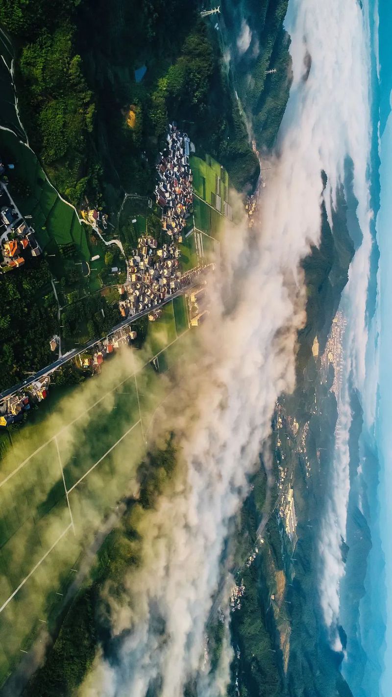 VCG211318498300 浙江杭州 乡村 稻田.jpg 图片