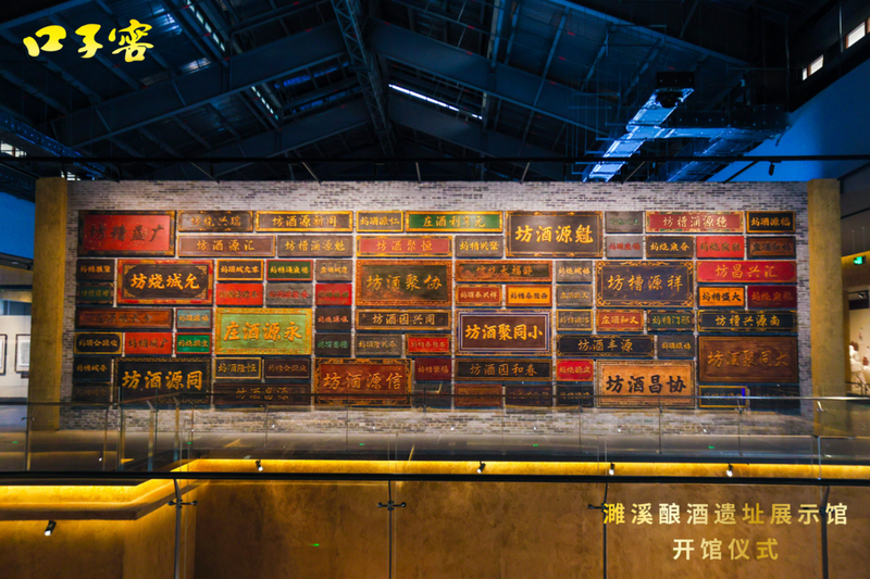 10896357(1).png
