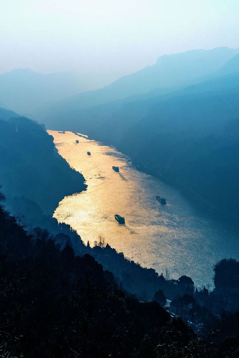 IMG_5319(20220616-102042).JPG 图片