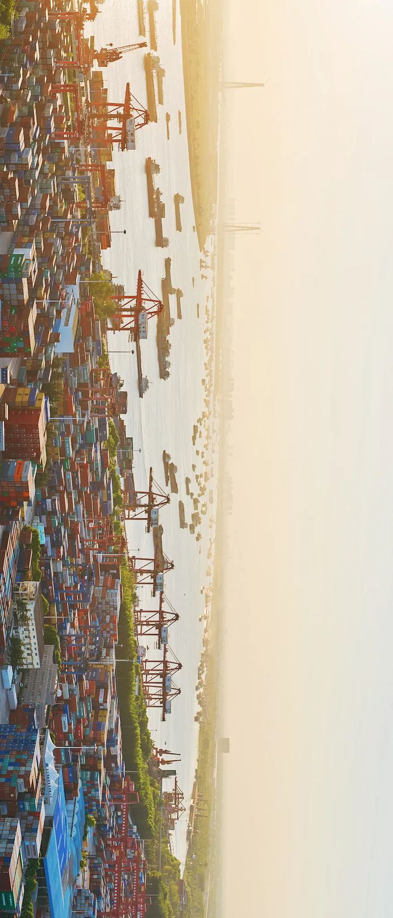 IMG_5318(20220616-102022).JPG 图片