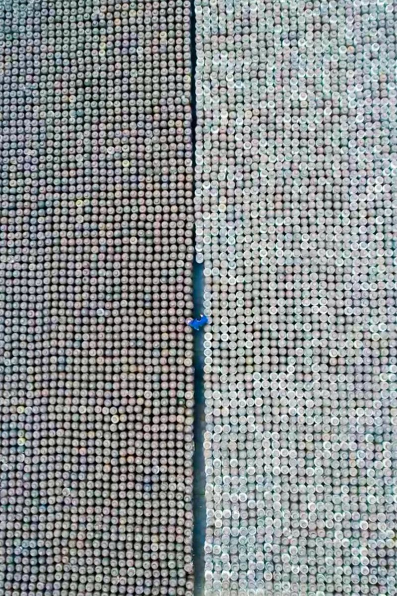 VCG111259044162 2019年11月13日,江苏南通,如皋市白蒲镇一酿酒厂对黄酒进行过滤沉淀检查。.jpg 图片