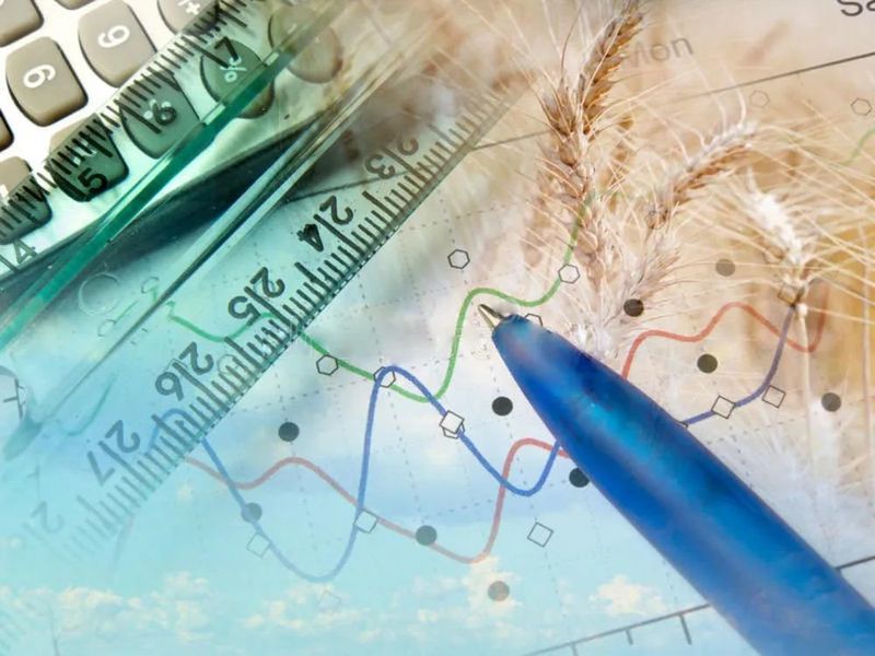 2023 白酒香型之战开打?