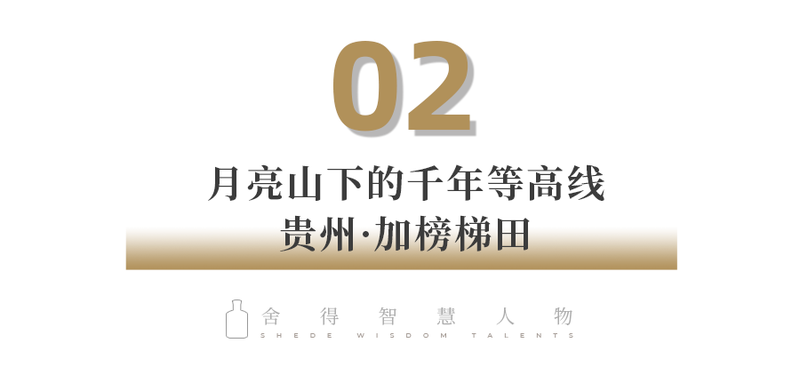 小标题2 带数字双行.png