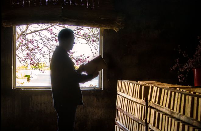 尊时节,顺天道,古井贡酒为何是自然酿造的传承者?