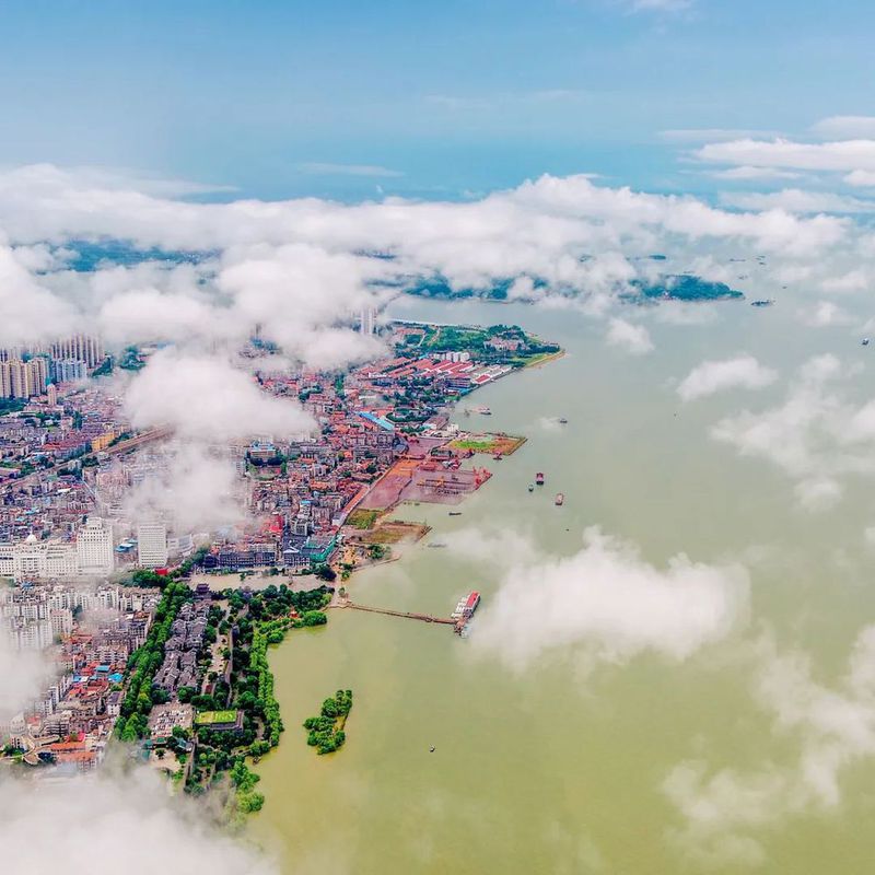 IMG_5314(20220616-101803).JPG 图片