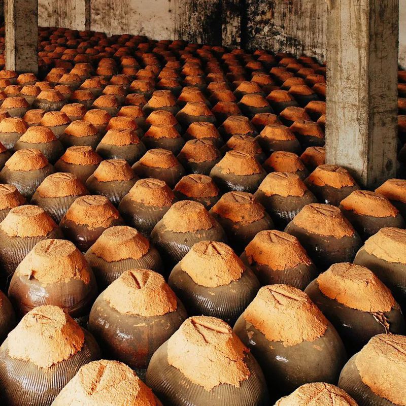 IMG_5323(20220616-102226).JPG 图片