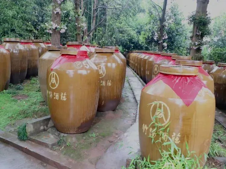 简篇-蜀南竹海酒飘香 图片