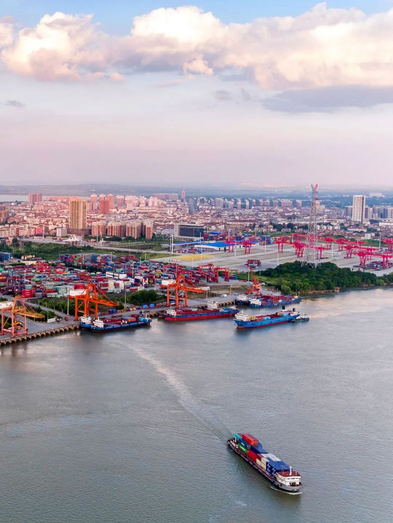 IMG_5318(20220616-102022).JPG 图片