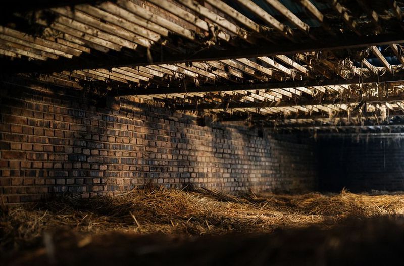 川酒风物 | 曲为酒之骨,制曲的不同温度,竟决定了白酒香型风格?