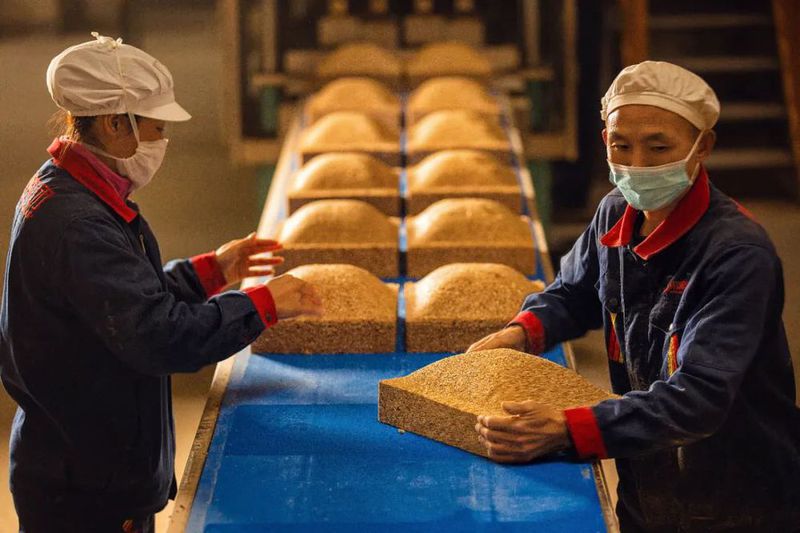 川酒风物 | 曲为酒之骨,制曲的不同温度,竟决定了白酒香型风格?