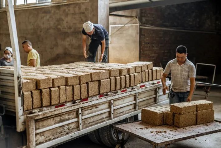 川酒风物 | 曲为酒之骨,制曲的不同温度,竟决定了白酒香型风格?