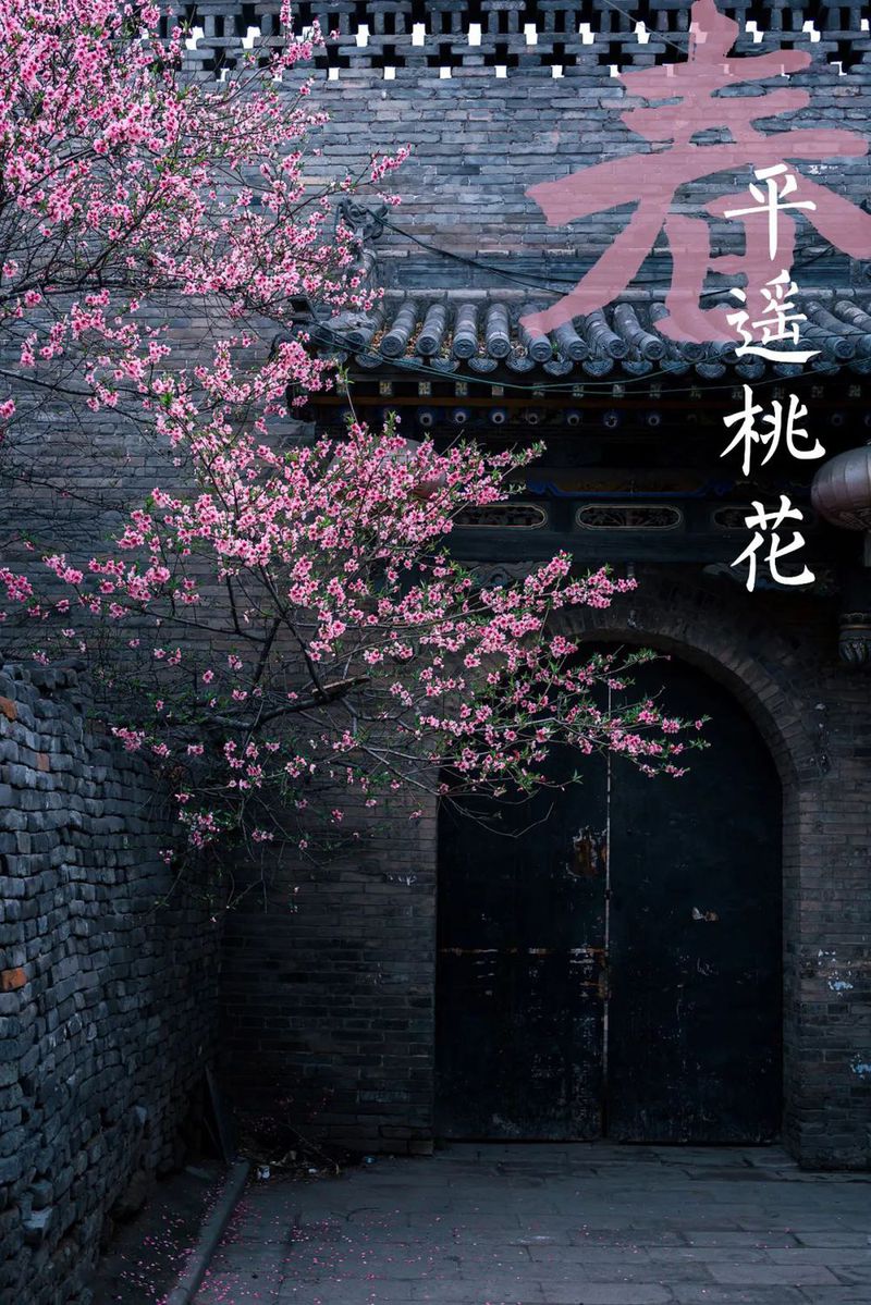 VCG211303408133 新疆沙漠肉苁蓉开花 剪裁.jpg 图片