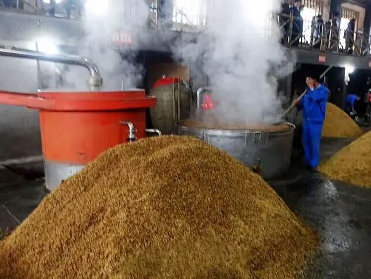 简篇-蜀南竹海酒飘香 图片