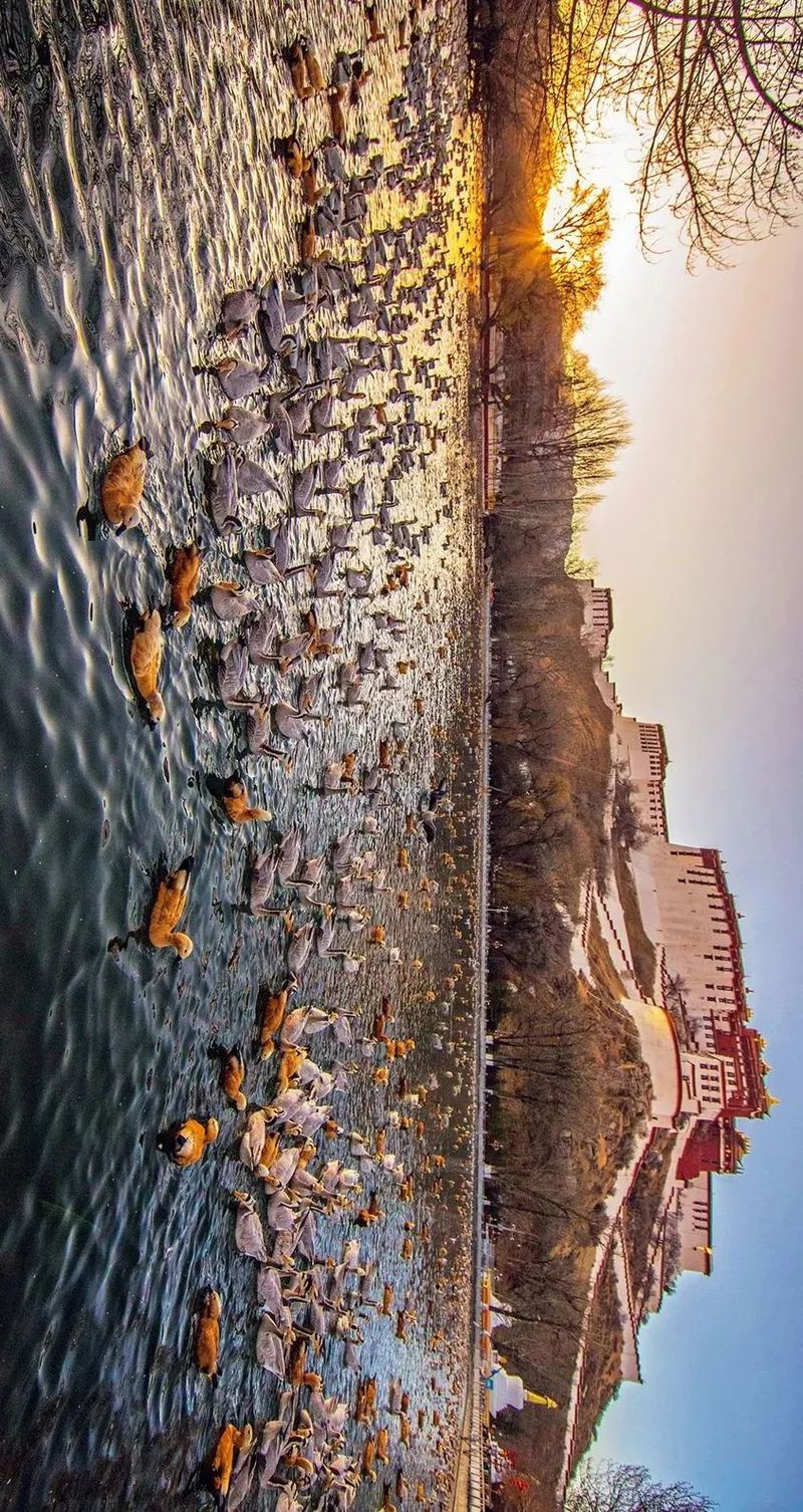 微信图片_20211129180240.jpg 图片