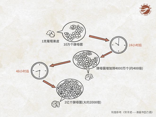 地脉、文脉、血脉、菌脉,成就川酒浓香 ——纪念1573国宝窖池群持续不间断酿造450周年