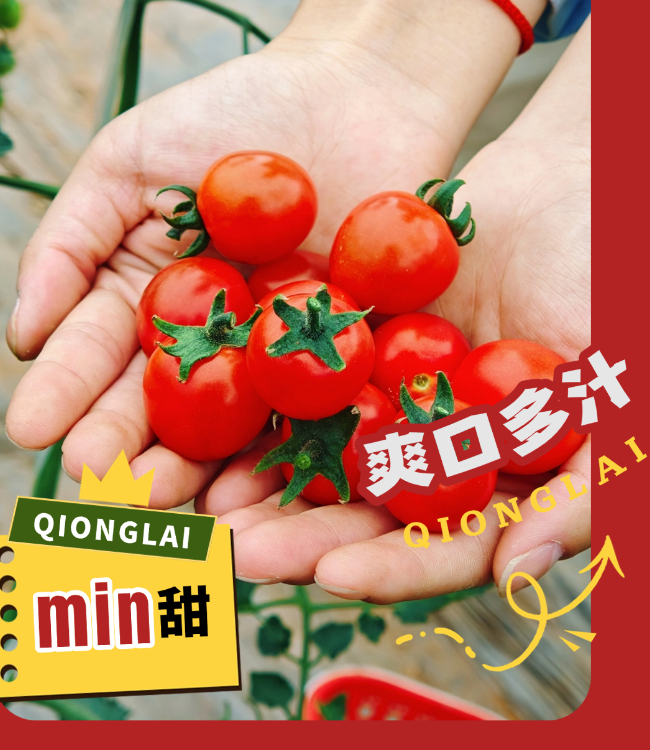 微信截图_20211105183214.png 图片
