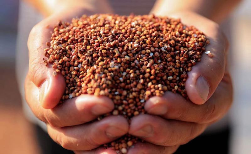 358655beab62b2aadb1bc1a08980f0b.jpg 358655beab62b2aadb1bc1a08980f0b.jpg