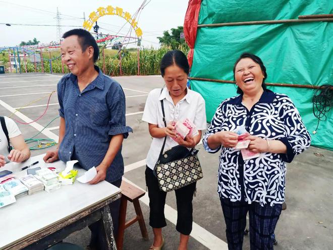 郎酒62万亩米红粱喜迎丰收，高品质原料源头确保高品质郎酒！ 