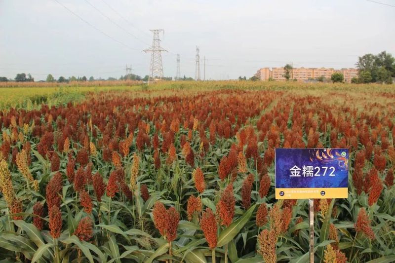 微信图片_2026-07-21_100625_244.jpg