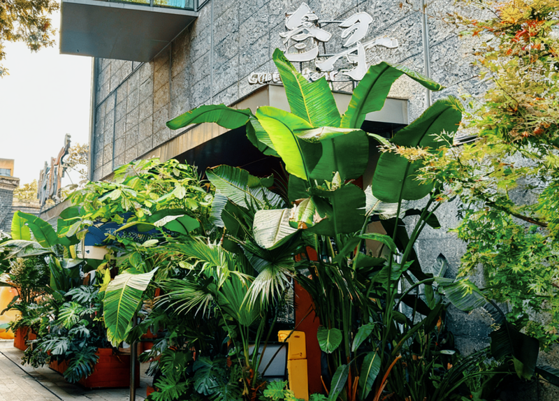 生成冬日场景图 (1) (2).png