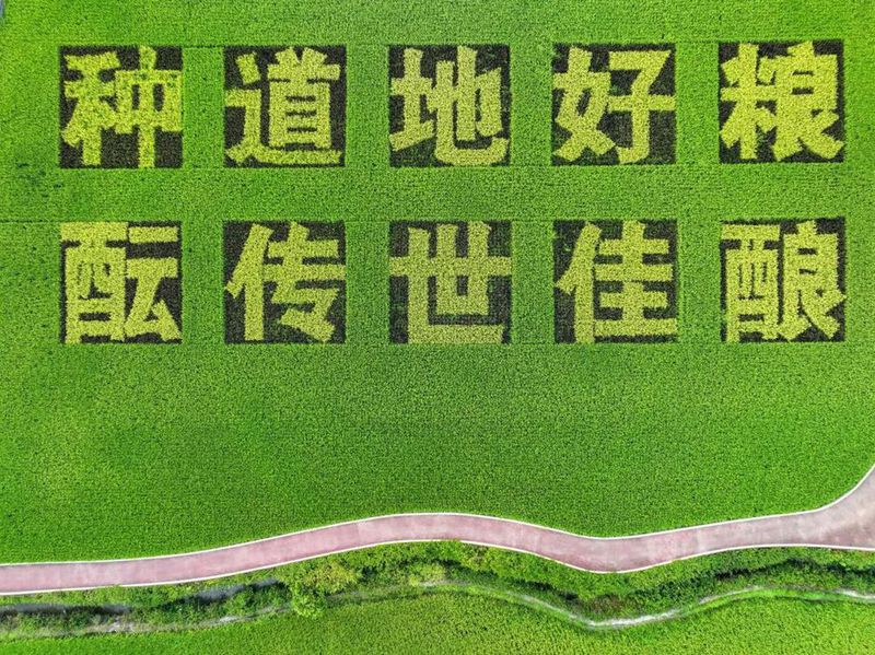 王铁松 乡村字画  13990995699_副本.jpg