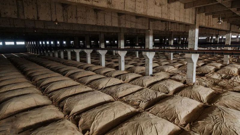 川酒风物丨窖为酒之魂，读懂窖池，你就读懂了中国白酒