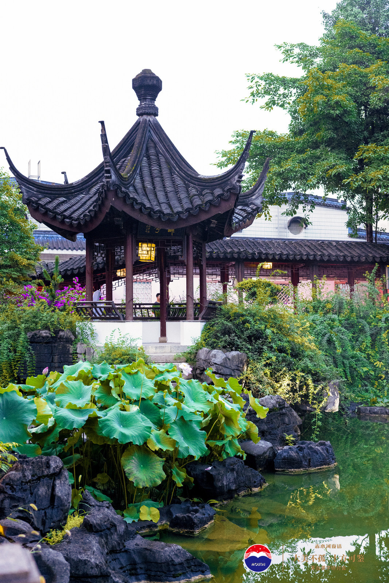 茅台，全新美学形态重塑酒业未来